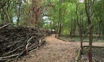 PRESS RELEASE – Historic Moot Hill Welcomes Visitors to Explore New Routes